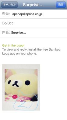 bambooloop5
