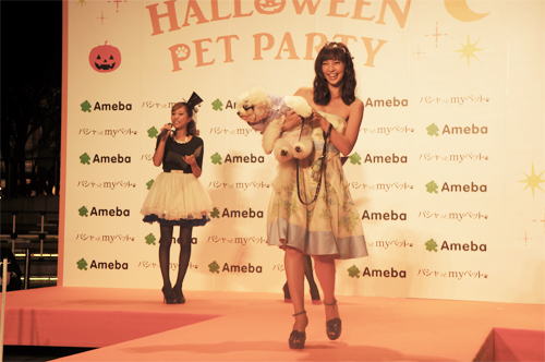 petparty12